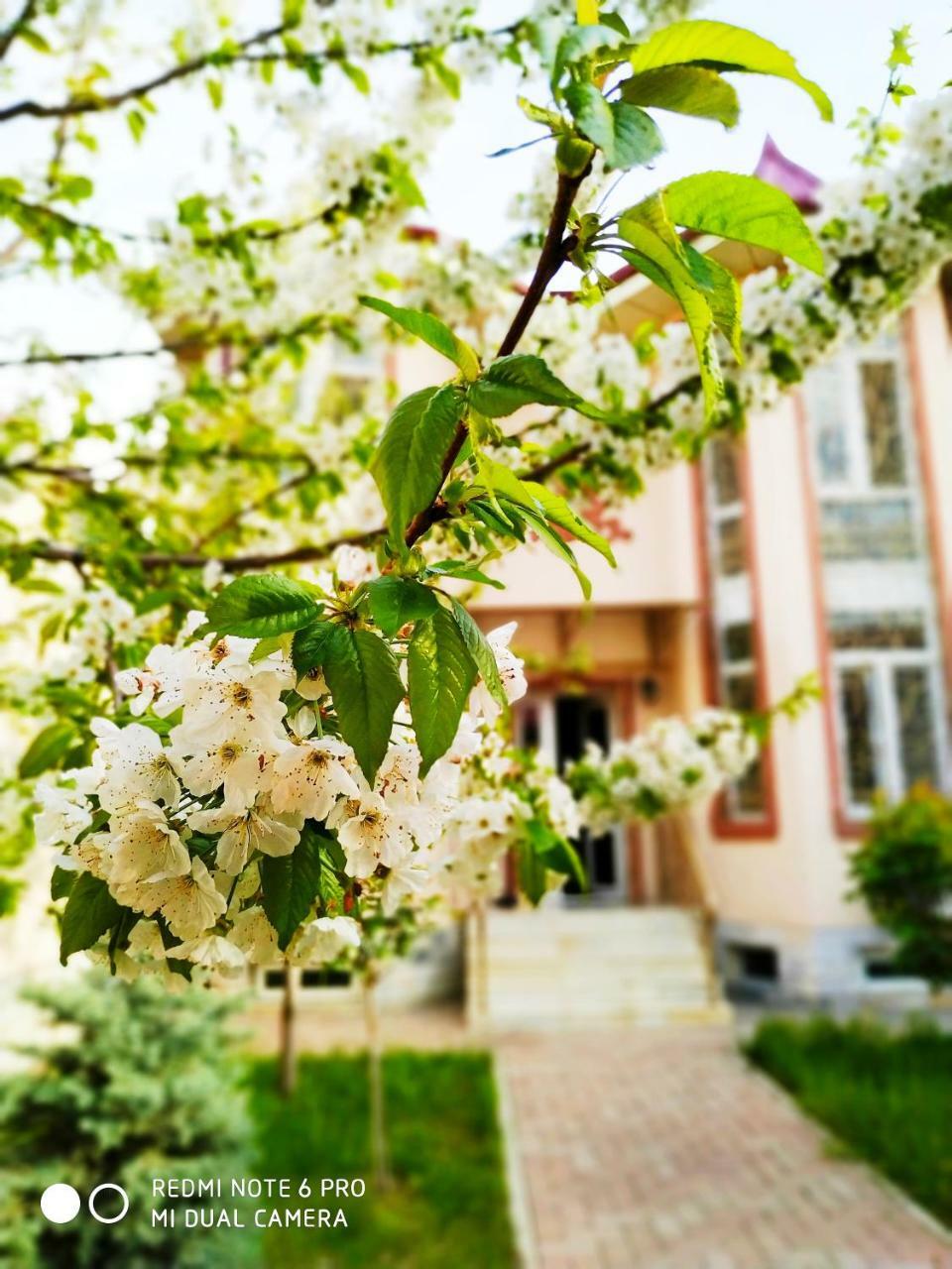 Rakat Inn Navigator Tasken Kültér fotó